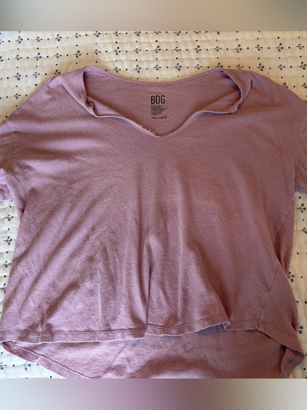 Urban Outfitters BDG Mauve Cropped V-Neck Tee